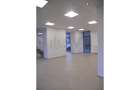 REC0000626 Spatiu showroom PARTER si MEZANIN - 8