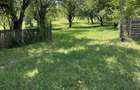 Vand casa plus gradina 68 ari - 2