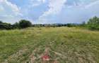 Teren intravilan in Banesti--925 m--40e - 8