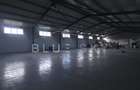 Hală industrială de vânzare – 1.000 mp – Zona Palas, Constanța