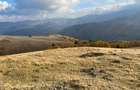 Teren de vanzare ideal pentru cabana Zona Valari, Paltini?(6131 m) - 1