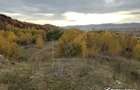 Teren intravilan – Salicea, 971 mp