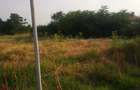 Teren intravilan mosneni - 4