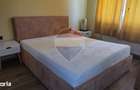 Apartament de inchiriat 40 mp Beta Residence Chinteni - 5