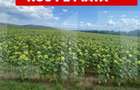 De vanzare teren arabil 4,58 ha, Moac?a, Covasna - 1