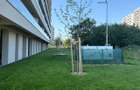 Apartament 2 camere,mutare imediata,Promenada Lacul Morii,TVA inclus! - 14