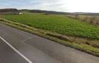 Teren extravilan 9,5 ha - 3