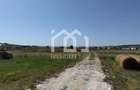 5.800 mp | Front 30 m | 20EUR/mp | Jucu de Mijloc - 6