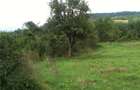 Vand teren intravilan 1,4 ha, Mehadia, Caras-Severin - 7
