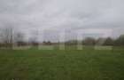 Teren intravilan, 3515 mp, zona Crevedia - 2