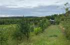 RECO Casa cu teren in Hidiselul de Sus - 5