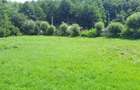 Proprietar vand teren intravilan Bughea de jos, Arges - 5