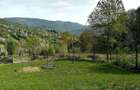 Teren Extravilan 23000 mp-potential turistic Valea Doftanei 8 euro/mp - 5