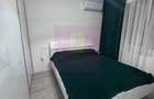 Apartament 3 camere decomandat, mobilat, str. Liviu Rebreanu, Titan - 3