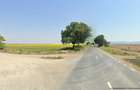 48 ha teren arabil la soseaua Arad -Siria - 2