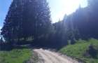 Propietar vand teren intravilan in Poiana Brasov str Valea Sticlariei 4000 mp - 3