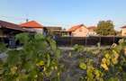 Casa de vanzare, 80 mp, teren 2330 mp, zona Arginesti - Filiasi (Dolj) - 5