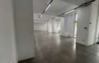 Spatiu Comercial | 261 mp | 20m Vitrina | Tineretului | Parc Carol