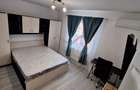 Apartament 1 camera Lunca Cetatuii - 5