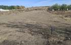 MISCHII, 500 MP - Teren Intravilan | PRET: 26000 .