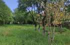Casă cu 4 camere în Valea Cufundoasă - 3