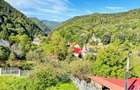 V. BORCUTULUI VILA 600mp P+E+M cu 2000mp teren! - 29