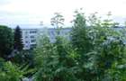 chirie apartament cart Gheorgheni - 11