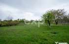 Proprietate unica, in zona verde ?i lini?tita - Cehu Silvaniei (Salaj)