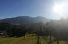 Teren superb de vanzare, cu vedere catre munte in zona linistita la 2 pasi de centrul orasului