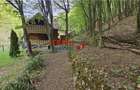 Casa de vacanta la padure | Teren 891 mp | Valea Ighielului - 6