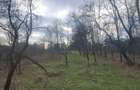 Vand teren intravilan 4900m2 - 5