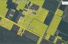 Vand teren cu suprafata de 2.6 Ha in Cornetu - Magurele - 3