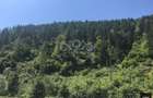 Teren si padure de vanzare in Bughea de sus Judetul Arges