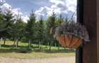 De vanzare  vila cu teren de 4150 mp si lac