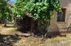 Casa de vinzare chesint - 5