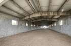 Hala Industrială / Agricolă | 800 MP Construcție + 800 MP Teren | - 4