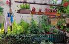 Faleza Nord, casa din chirpici, 164 mp., pret 185.000 euro - 8