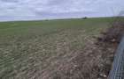 Vanzare teren intravilan 13.852mp, zona depozite Domnesti - 6