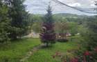 Cabana cu 5 camere de vanzare in Provita - 17