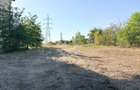 Teren intravilan 1803 mp de vanzare la intrare in Baile Felix