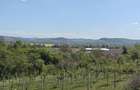 Teren intravilan 1400 m2 - Curteni, Santana de Mure?