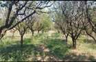 Vand teren intravila , zona case de vacante - 3