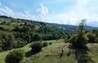 Teren de 10000 mp, în Răchițele - 14