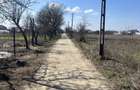 Teren intravilan de vanzare / parcelat - 3