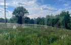 De vanzare teren Rasca - cu o panorama superba! - 2