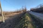 Vand teren intravilan pe strada Dobo?ari - 8