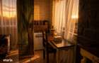 Apartament 2 camere de inchiriat Parcul Tineretului | Vila noua - 8