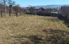 Vand teren intravilan in comuna Manastirea Ca?in - 3