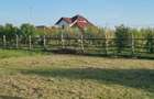 Teren de 801 mp, în Frumușeni - 2