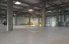 Spatiu industrial, clasa A, zona centura nord, Stefanesti - Afumati - 4